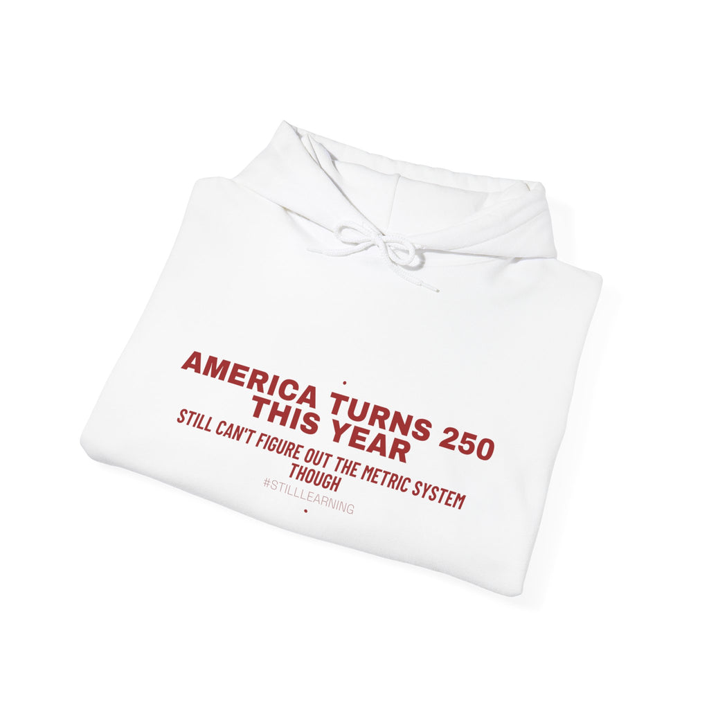 America Turns 250 This Year — Funny Hoodie