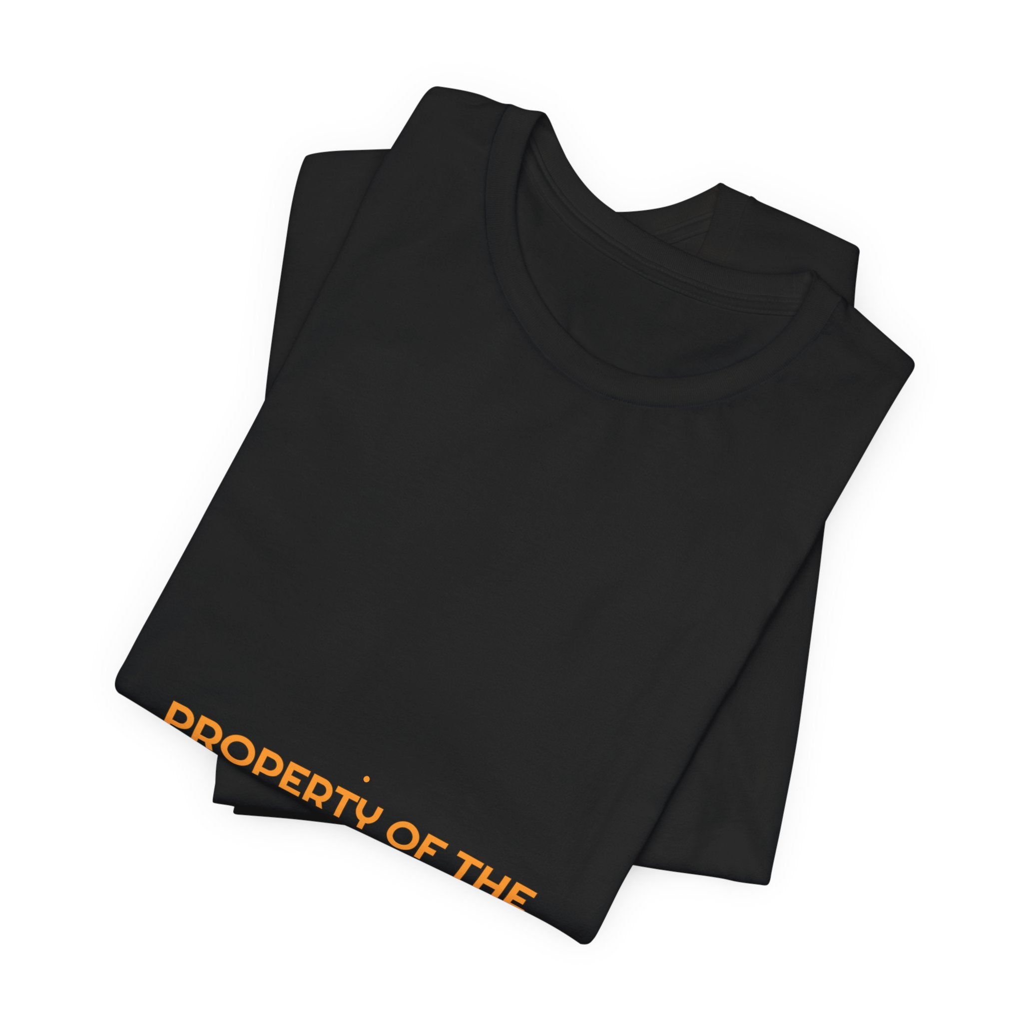 Property Of The Internet - Trendy Teez Funny Tee mockup