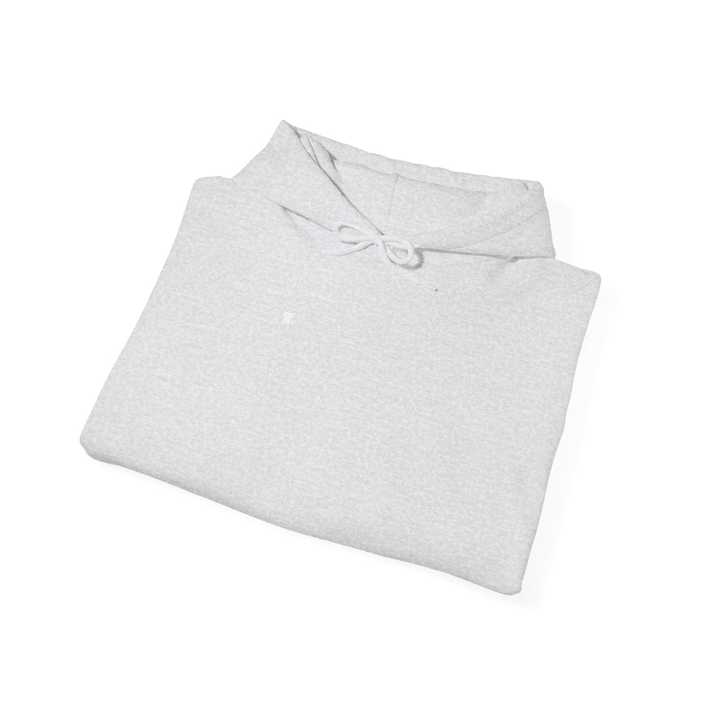 250 And Counting - Trendy Teez Funny Hoodie (Back Print) mockup