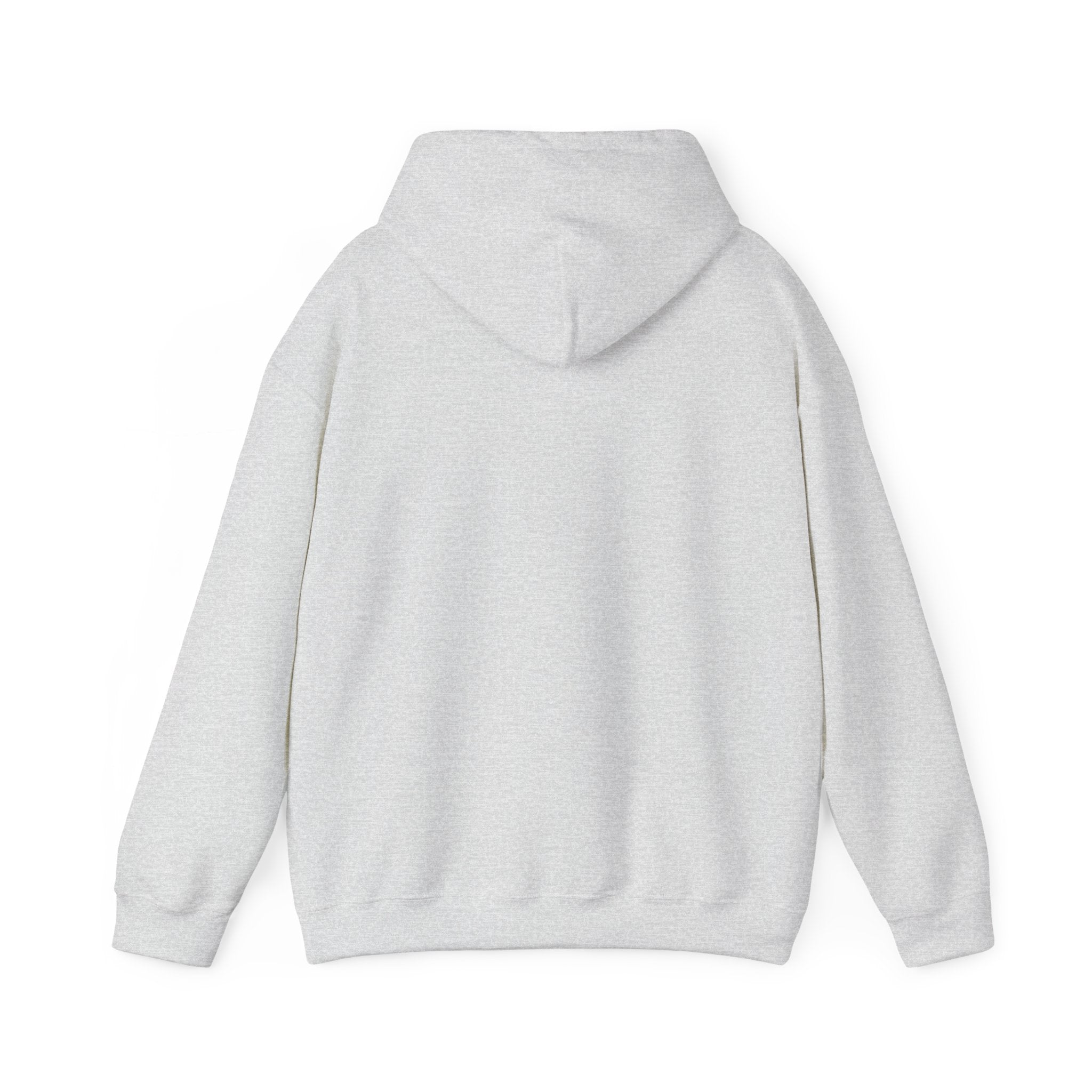 Internet Explorer - Trendy Teez Funny Hoodie mockup