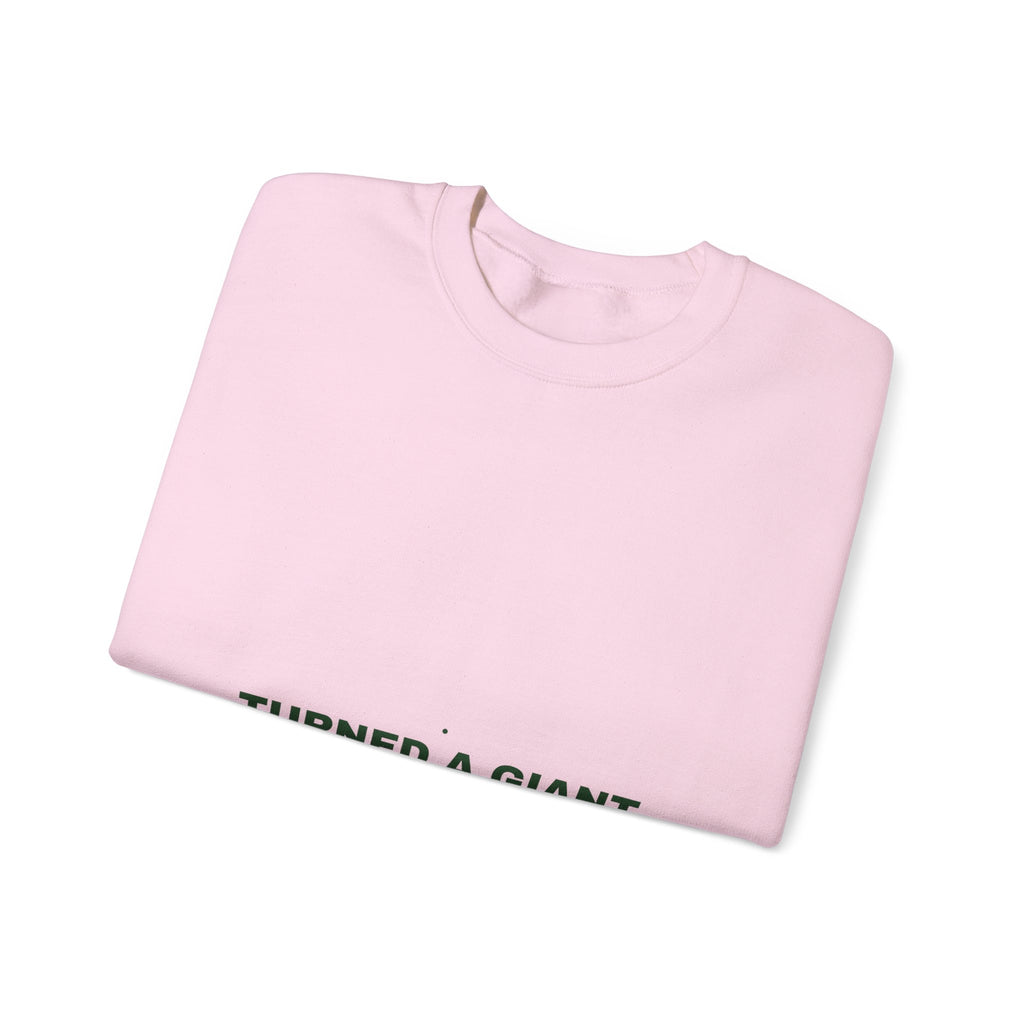 Turned A Giant Hole Into A Park — Funny Crewneck