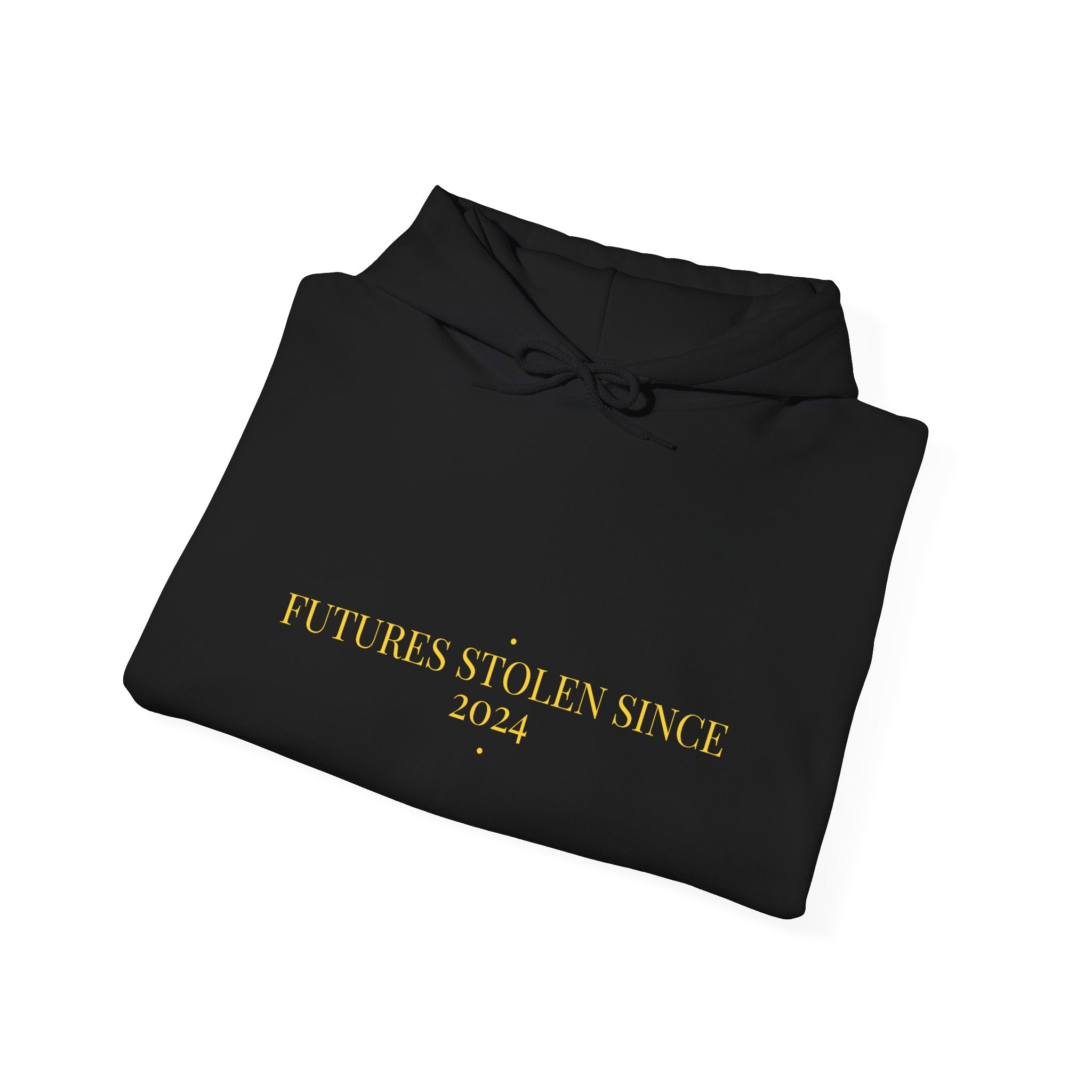 Futures Stolen Since 2024 - Trendy Teez Funny Hoodie mockup