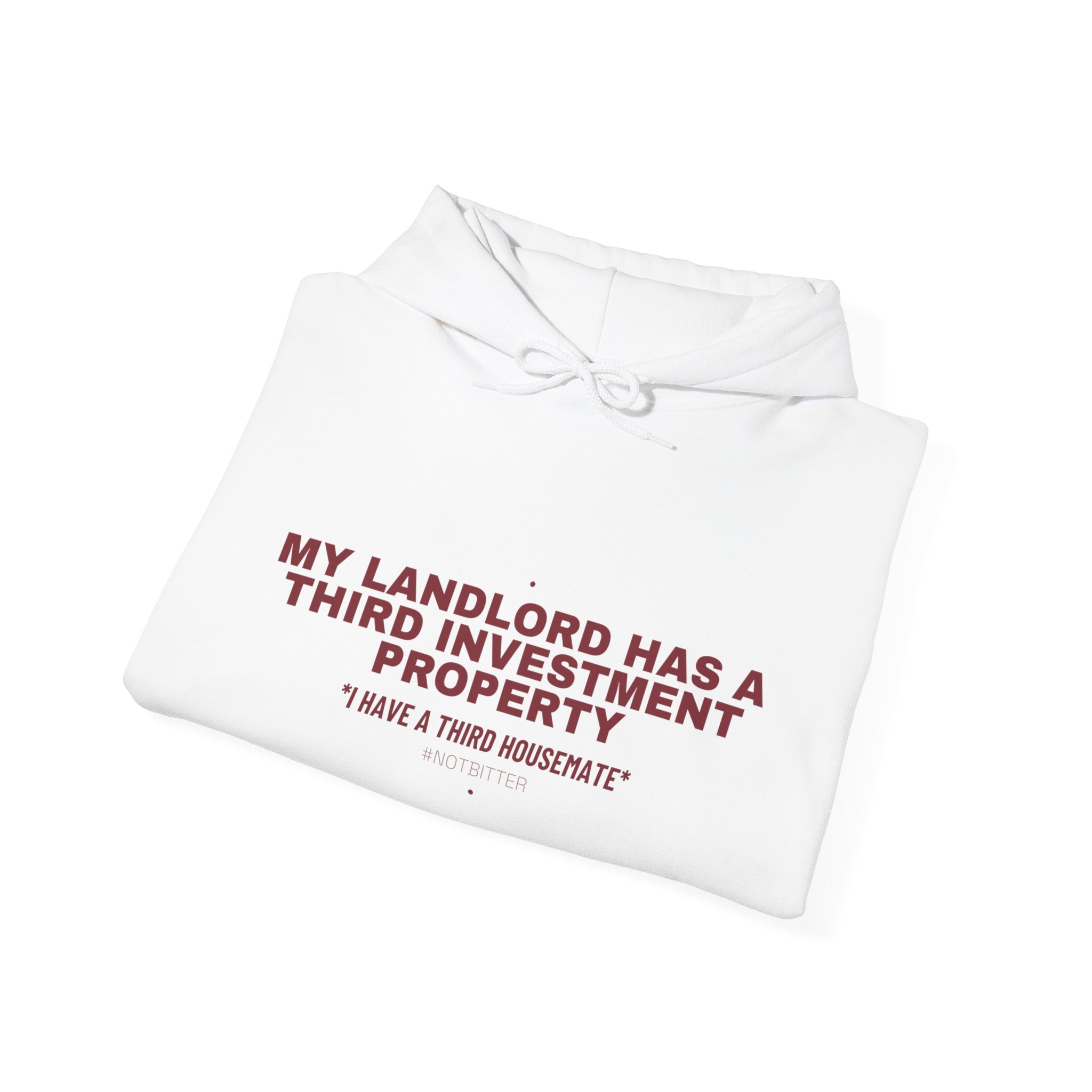 My Landlord Has A Third Investment Property - Trendy Teez Funny Hoodie mockup