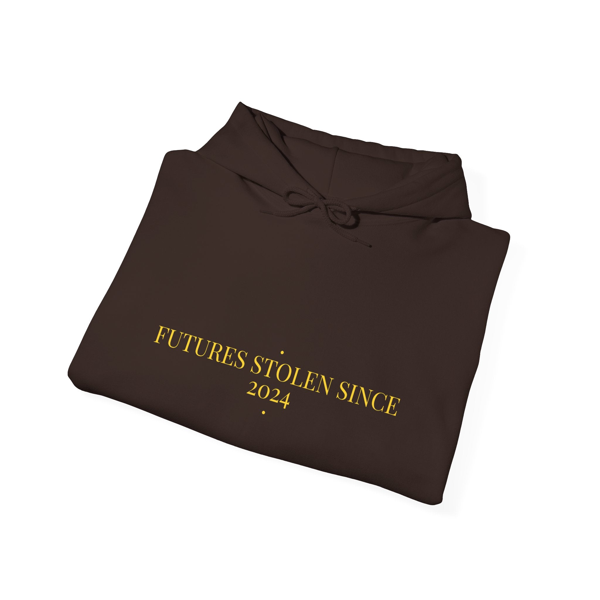 Futures Stolen Since 2024 - Trendy Teez Funny Hoodie mockup
