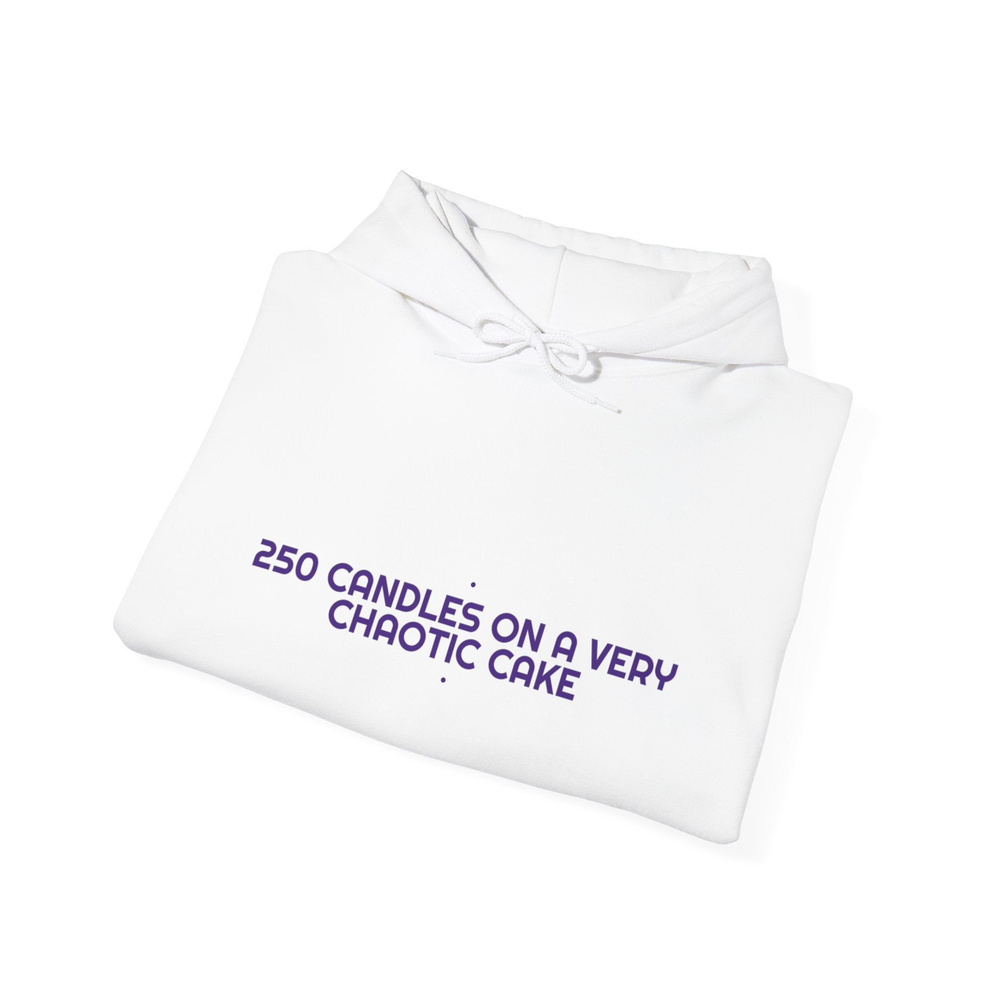 250 Candles On A Very Chaotic Cake — Funny Hoodie
