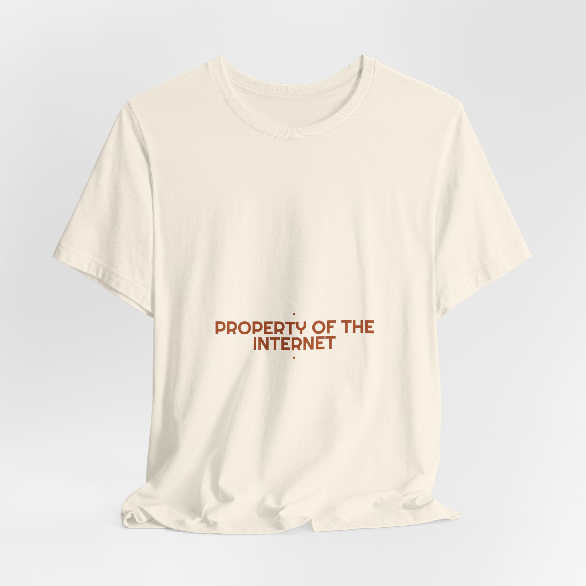 Property Of The Internet - Trendy Teez Funny Tee mockup