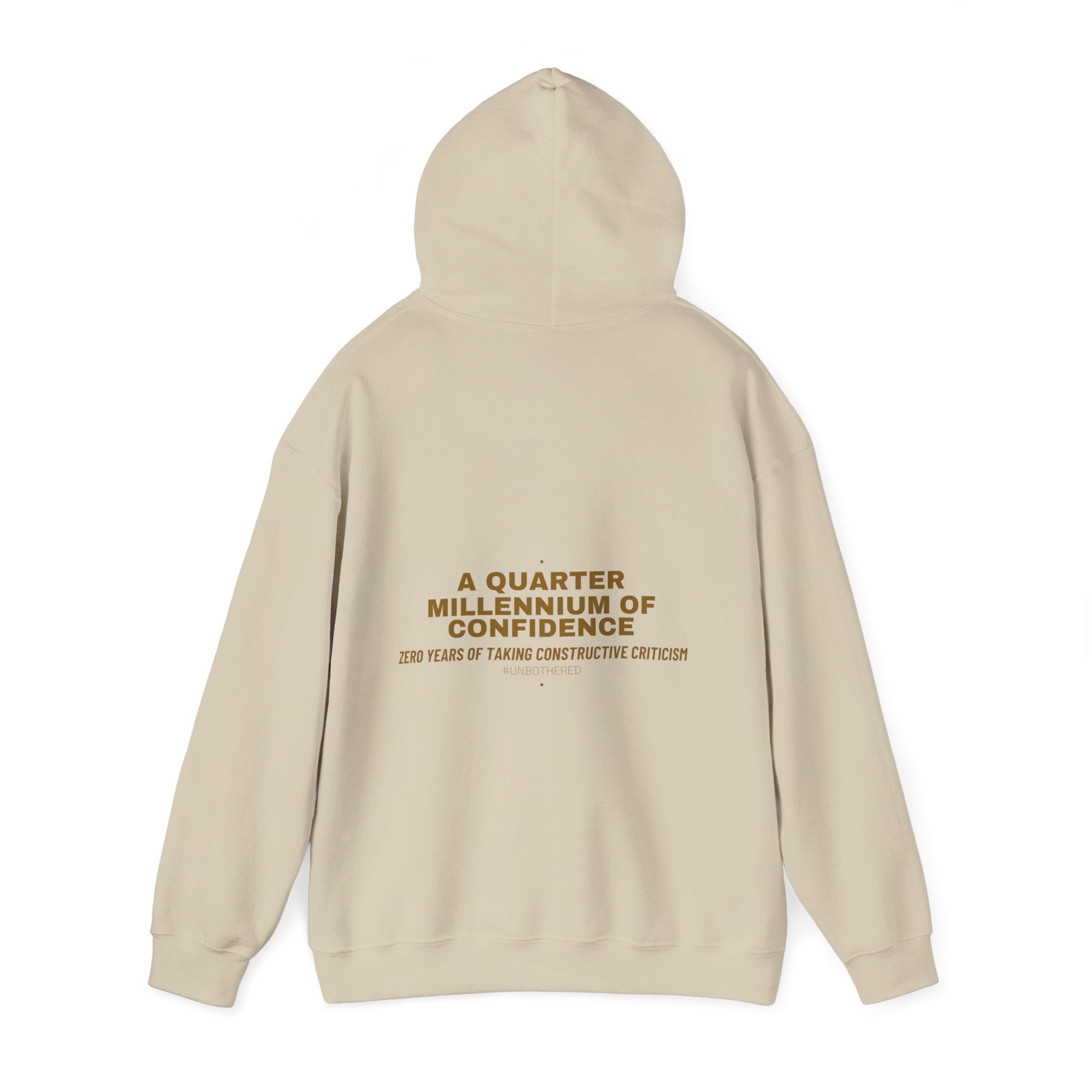 A Quarter Millennium Of Confidence — Funny Hoodie (Back Print)