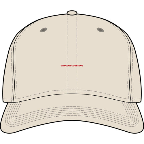 250 And Counting - Trendy Teez Funny Cap mockup