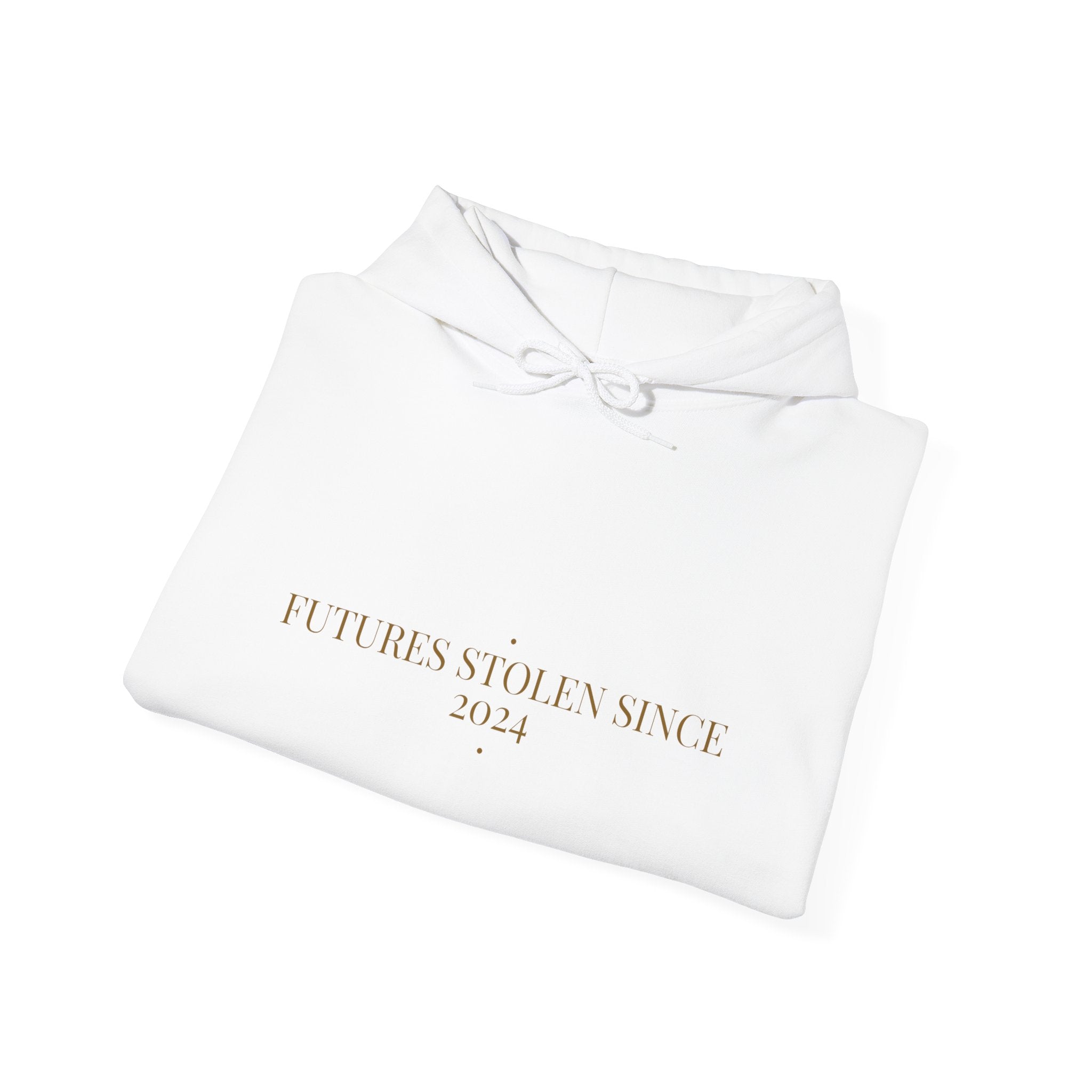 Futures Stolen Since 2024 - Trendy Teez Funny Hoodie mockup