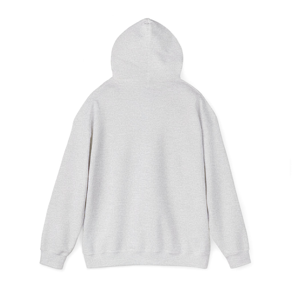 Declassified - Trendy Teez Funny Hoodie mockup
