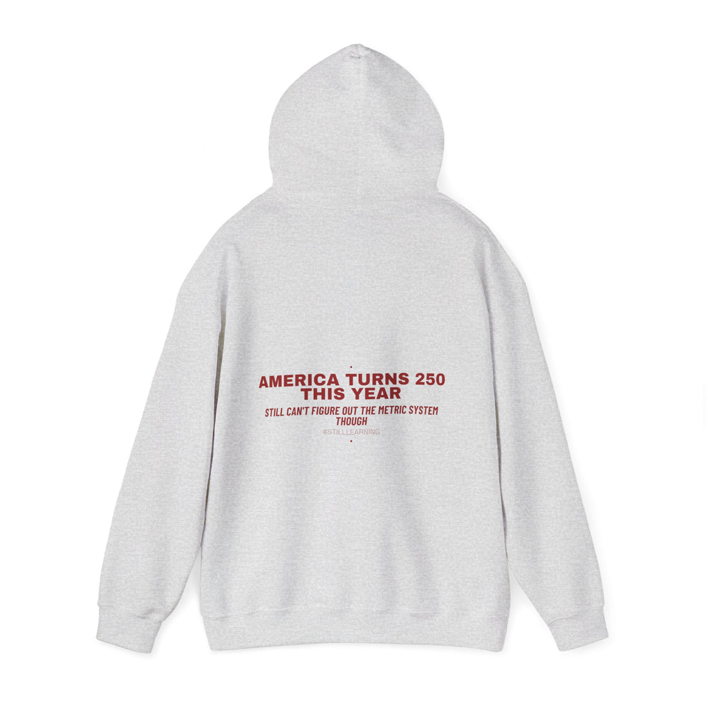 America Turns 250 This Year — Funny Hoodie (Back Print)