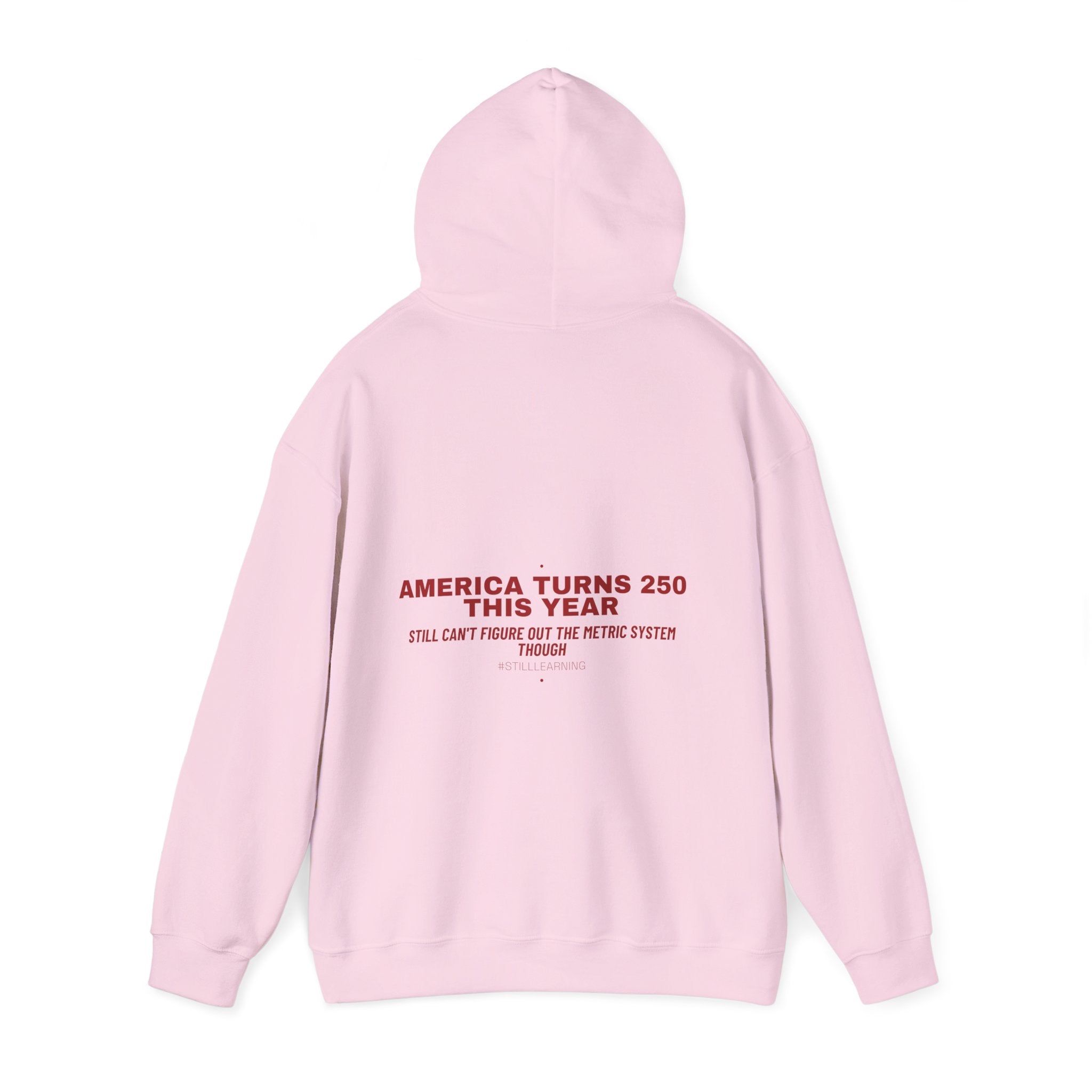 America Turns 250 This Year — Funny Hoodie (Back Print)