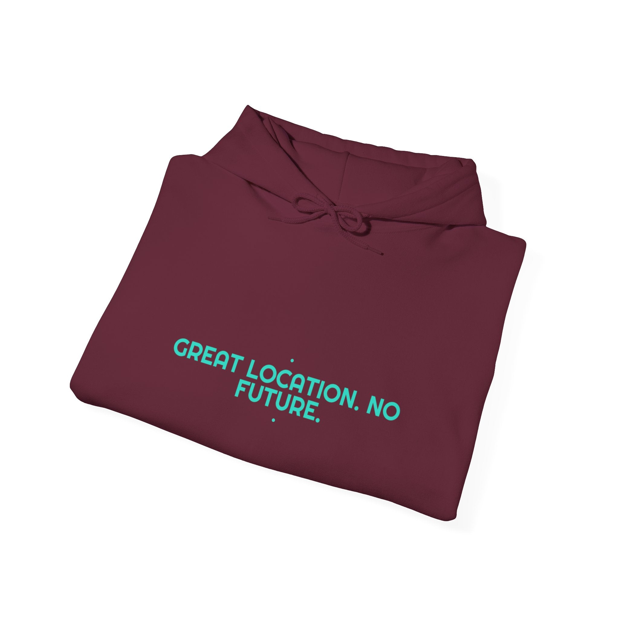 Great Location. No Future. - Trendy Teez Funny Hoodie mockup