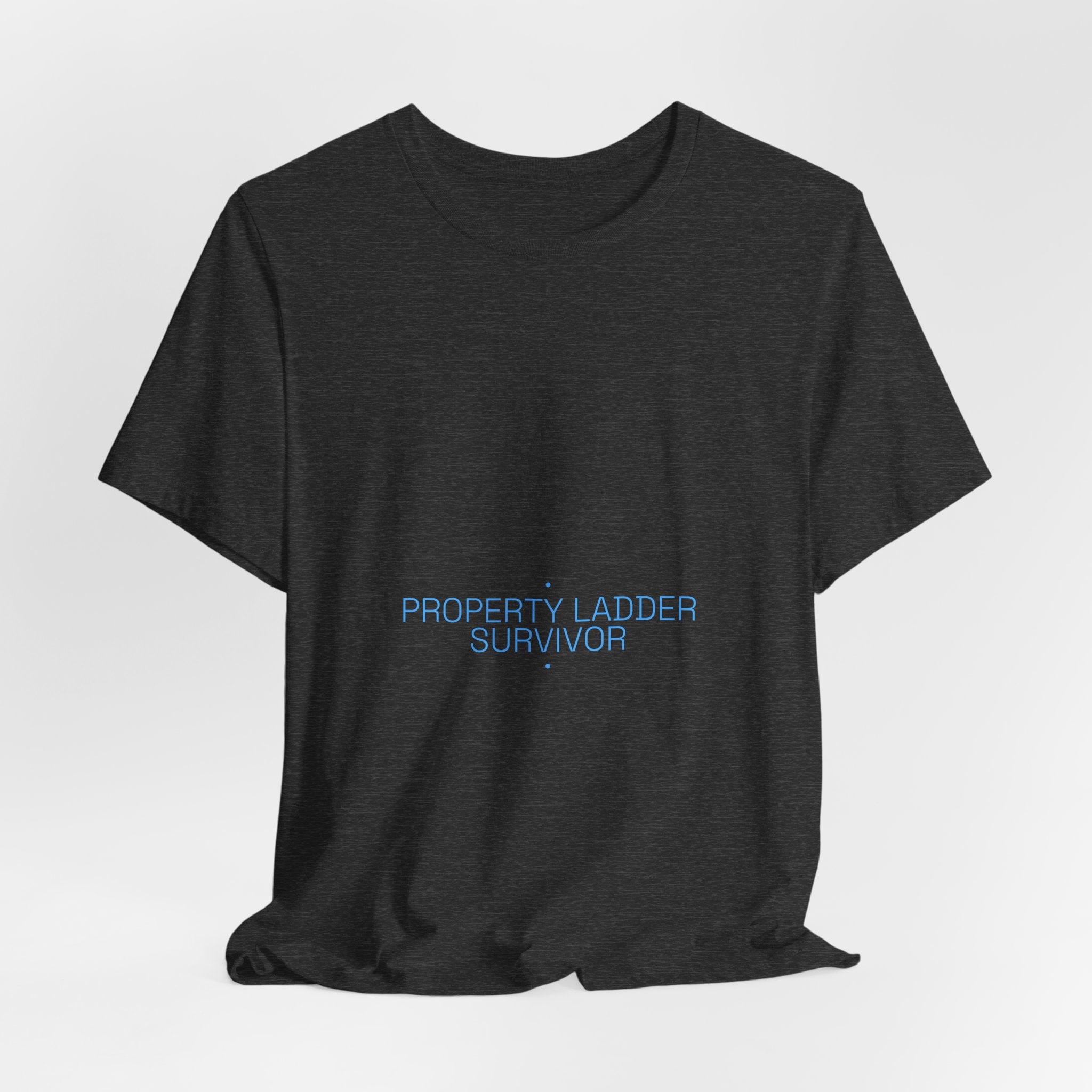Property Ladder Survivor - Trendy Teez Funny Tee mockup