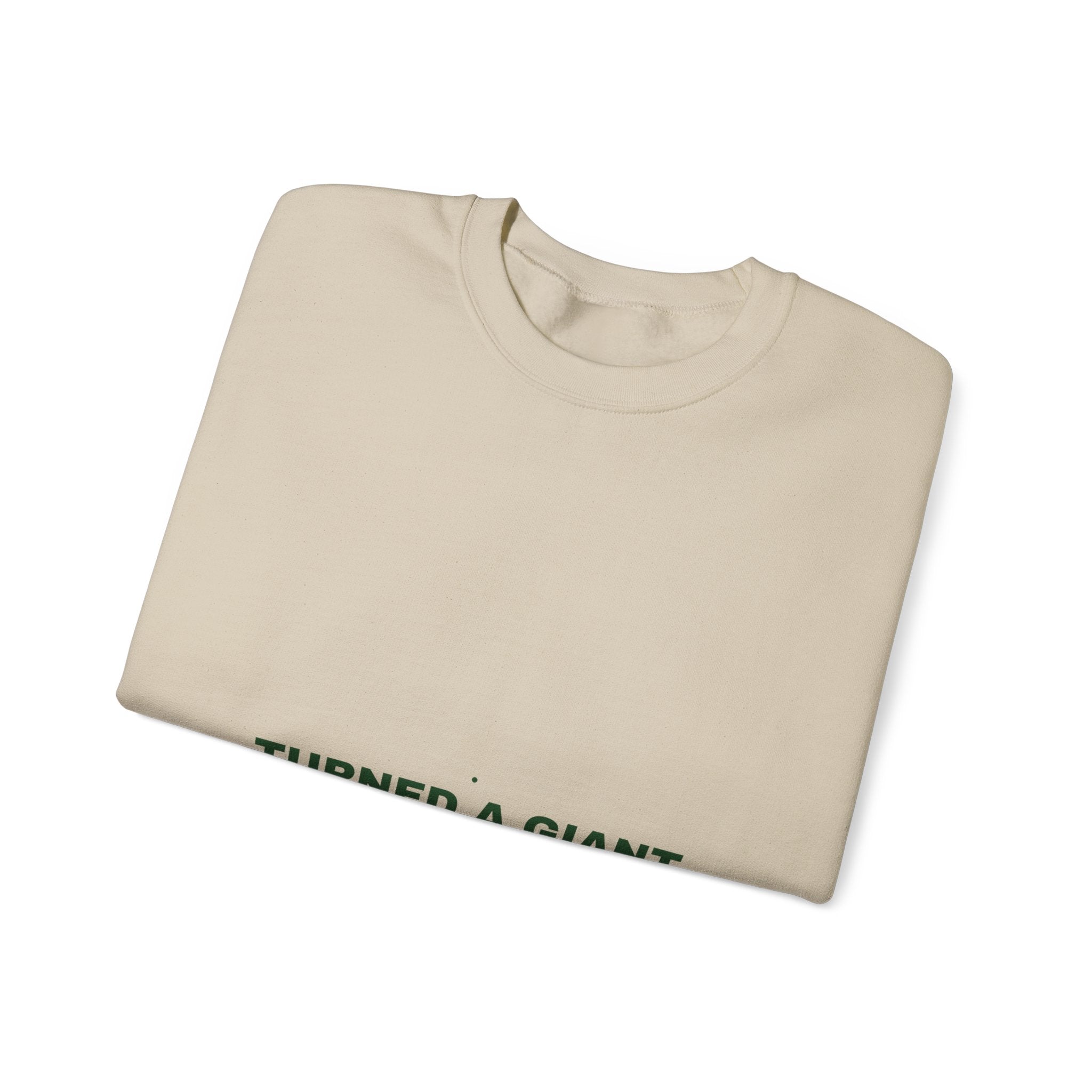 Turned A Giant Hole Into A Park — Funny Crewneck