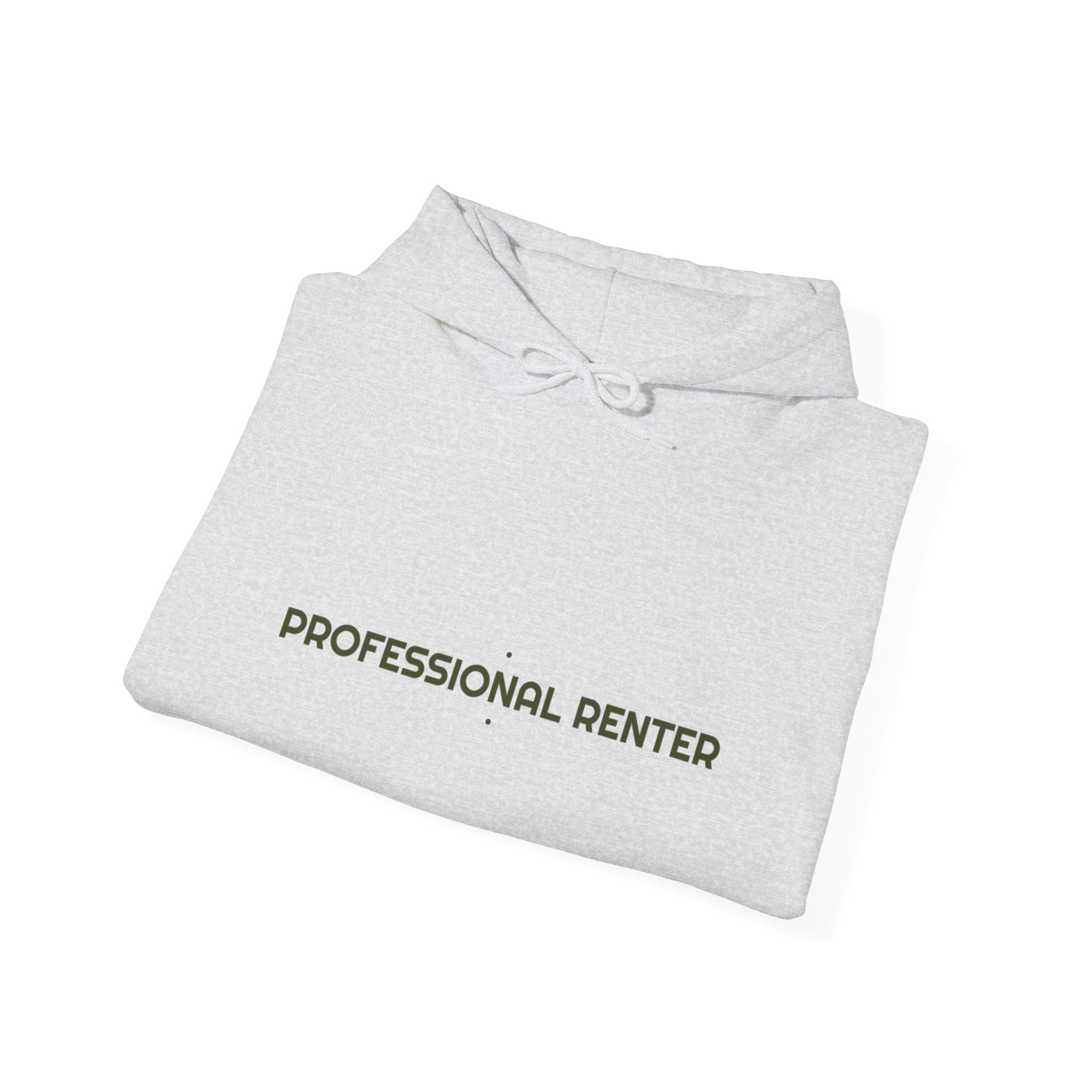 Professional Renter - Trendy Teez Funny Hoodie mockup