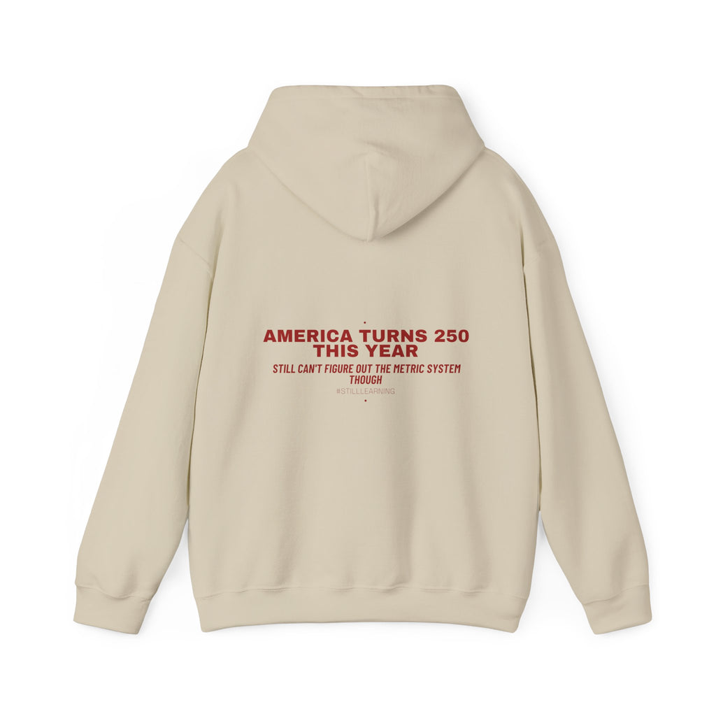 America Turns 250 This Year — Funny Hoodie (Back Print)