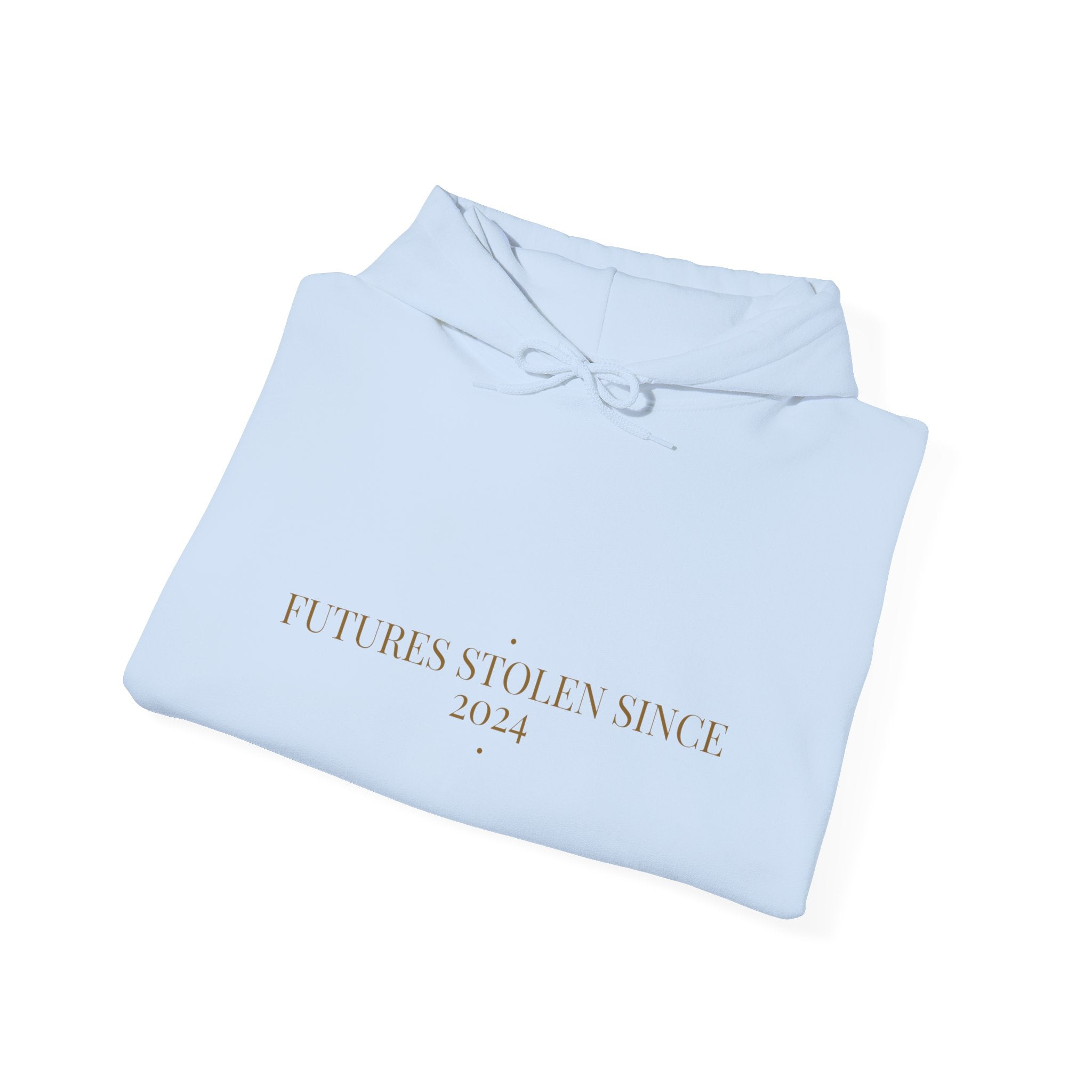 Futures Stolen Since 2024 - Trendy Teez Funny Hoodie mockup