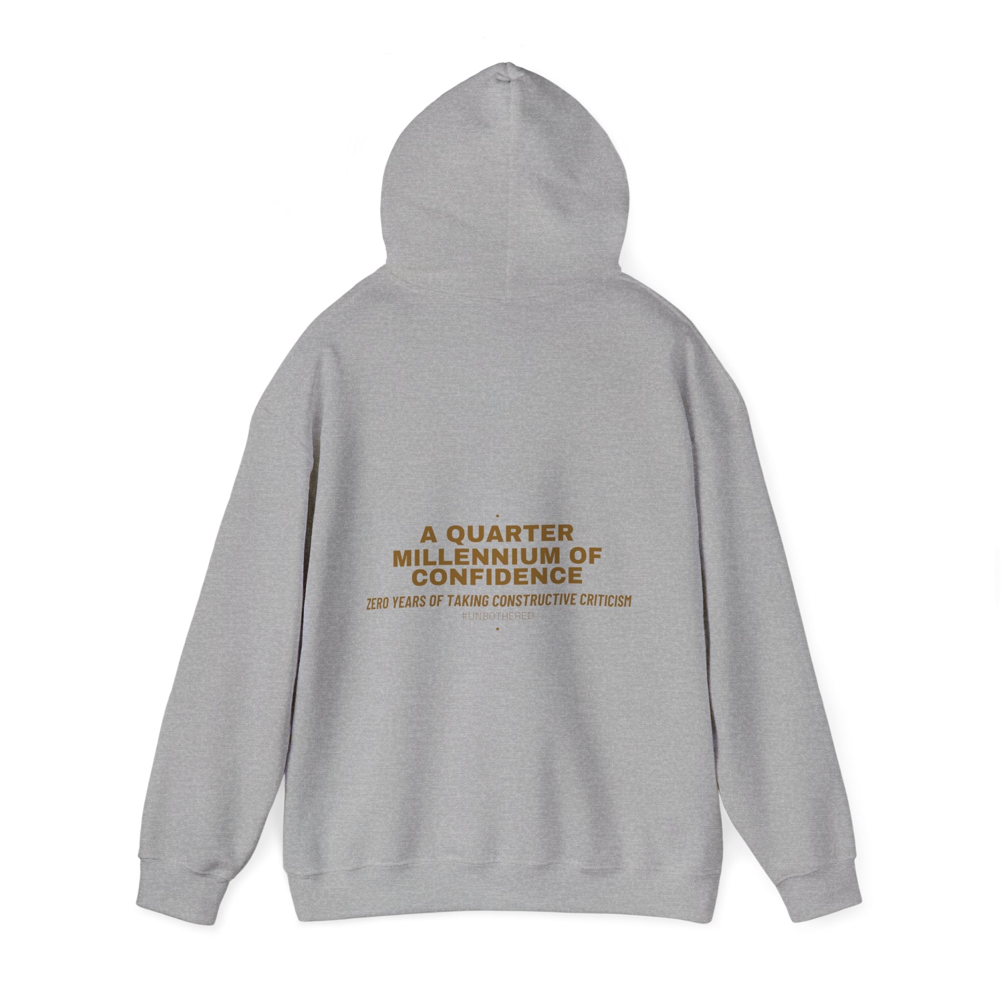 A Quarter Millennium Of Confidence — Funny Hoodie (Back Print)