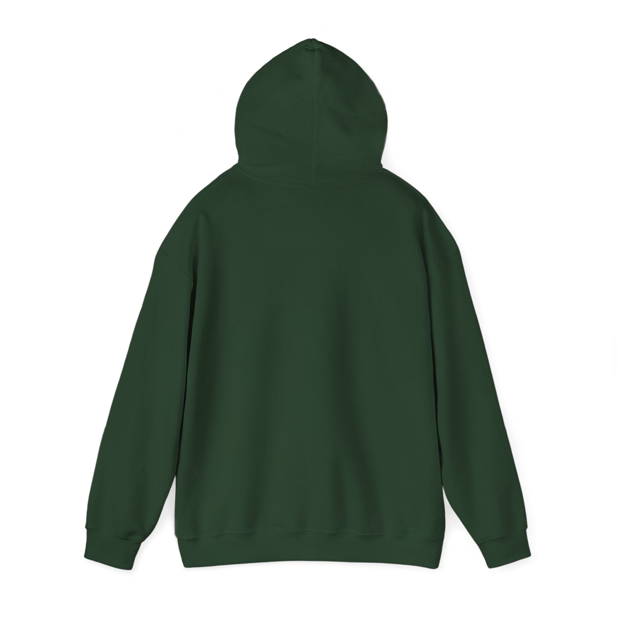 250 Years. Still Leading The Way. — Funny Hoodie (Back Print)