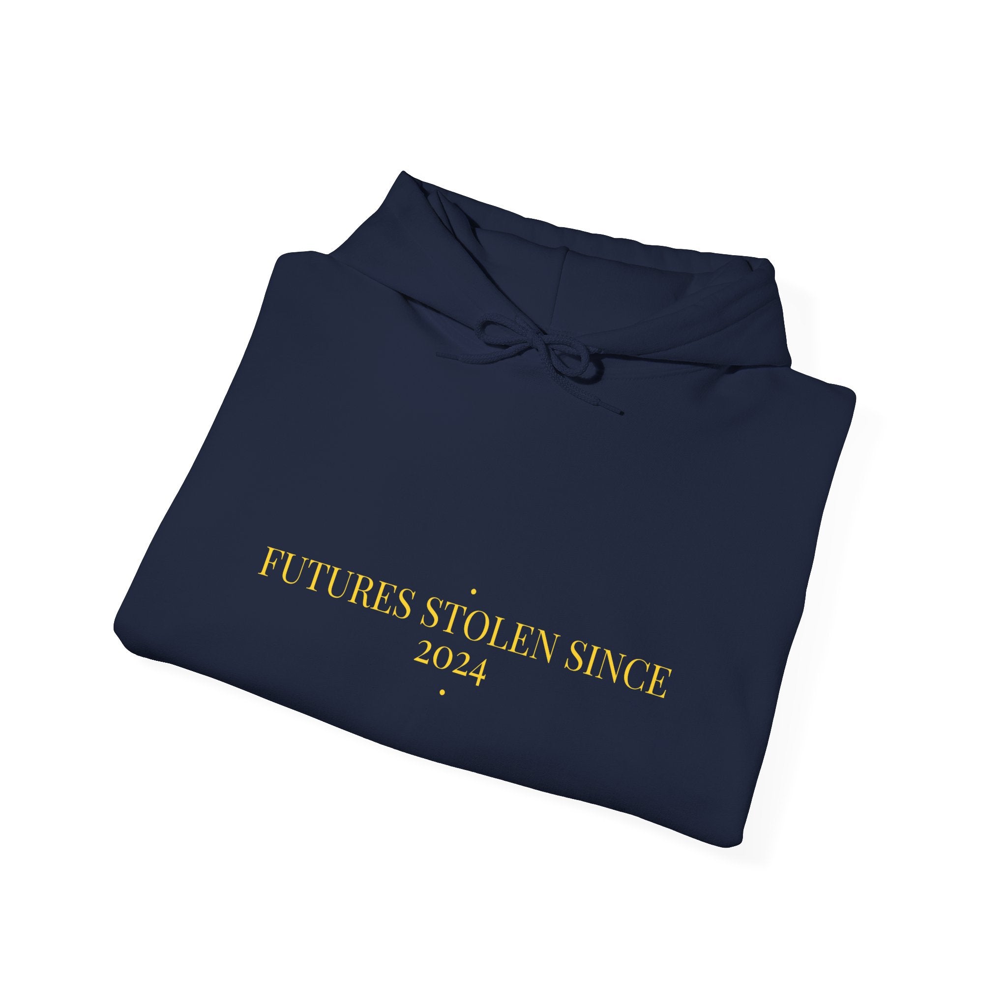 Futures Stolen Since 2024 - Trendy Teez Funny Hoodie mockup