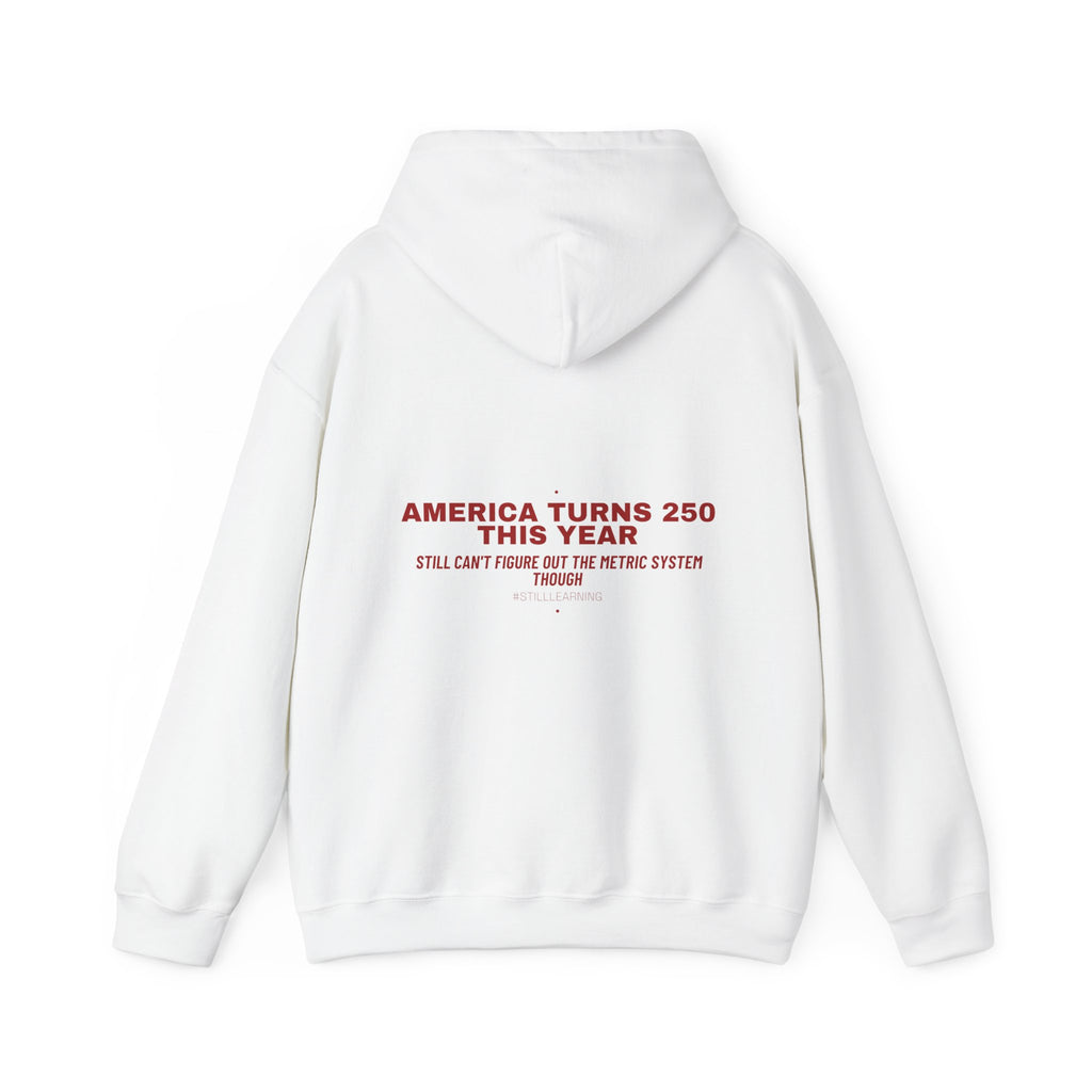 America Turns 250 This Year — Funny Hoodie (Back Print)