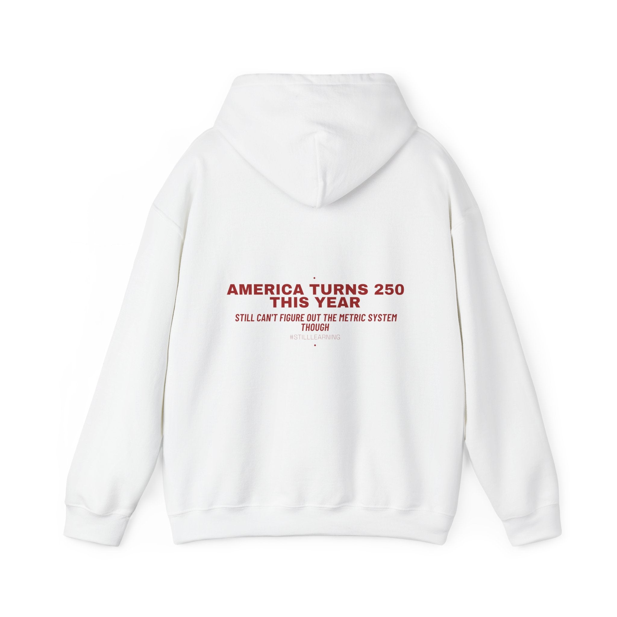 America Turns 250 This Year — Funny Hoodie (Back Print)