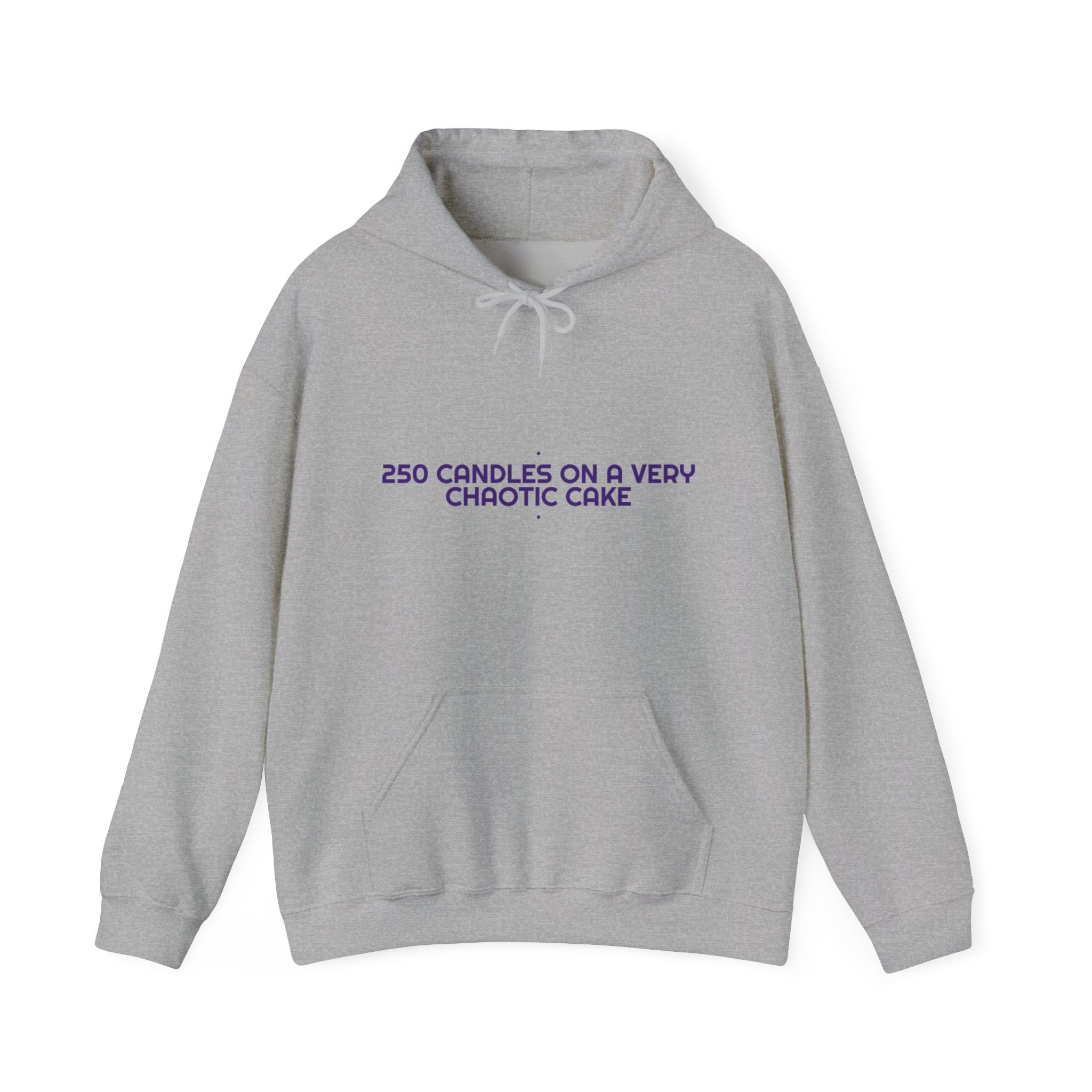250 Candles On A Very Chaotic Cake — Funny Hoodie
