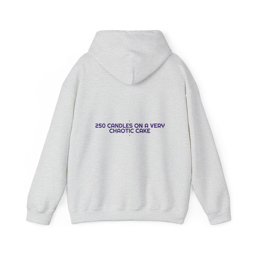 250 Candles On A Very Chaotic Cake — Funny Hoodie (Back Print)