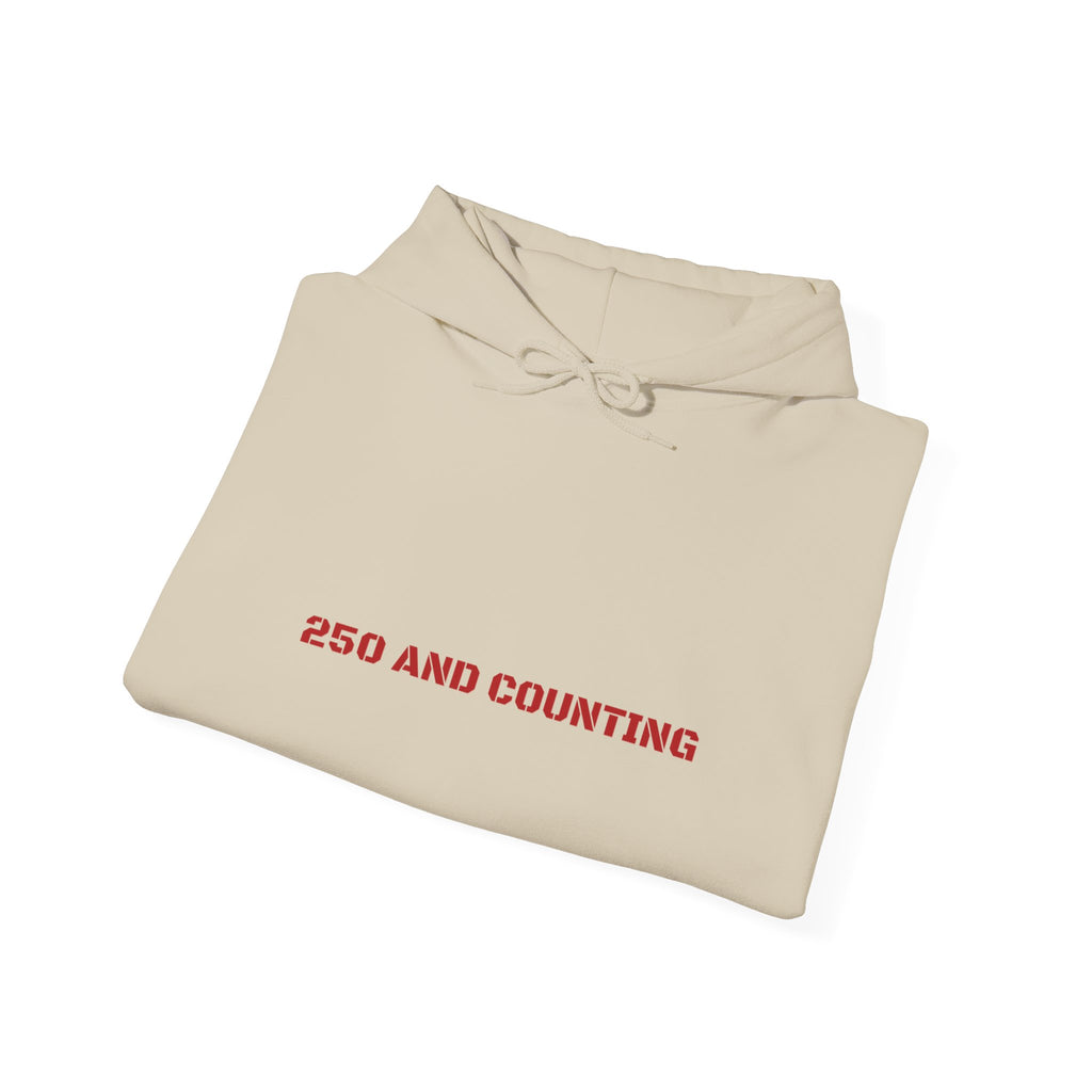 250 And Counting - Trendy Teez Funny Hoodie mockup