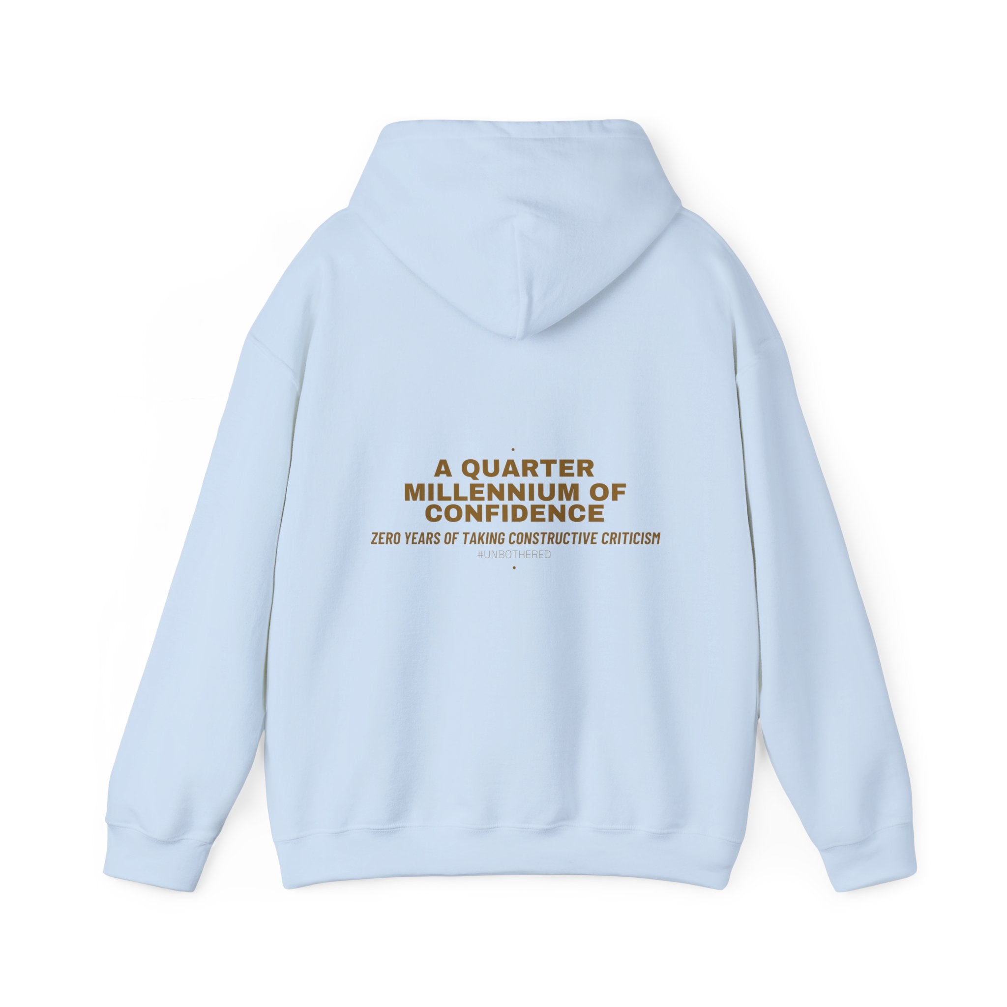 A Quarter Millennium Of Confidence — Funny Hoodie (Back Print)