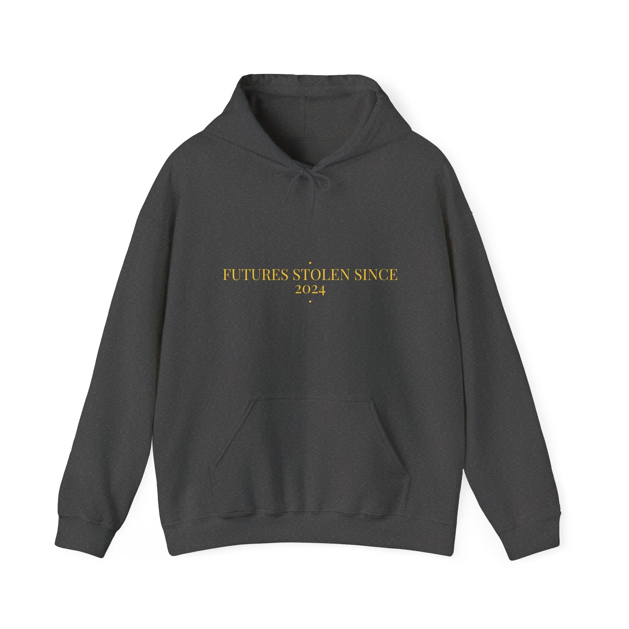 Futures Stolen Since 2024 - Trendy Teez Funny Hoodie mockup