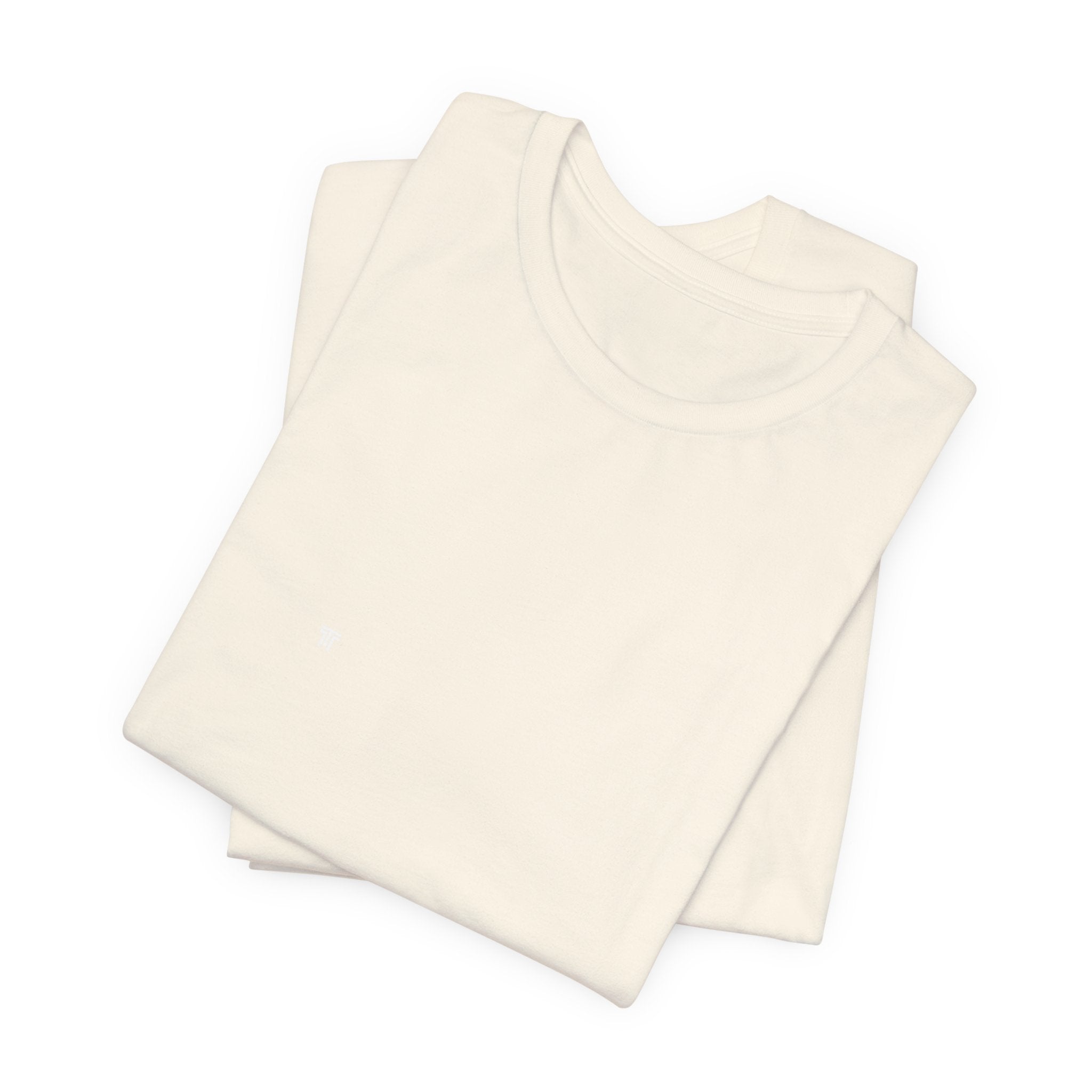 Futures Stolen Since 2024 - Trendy Teez Funny Tee (Back Print) mockup