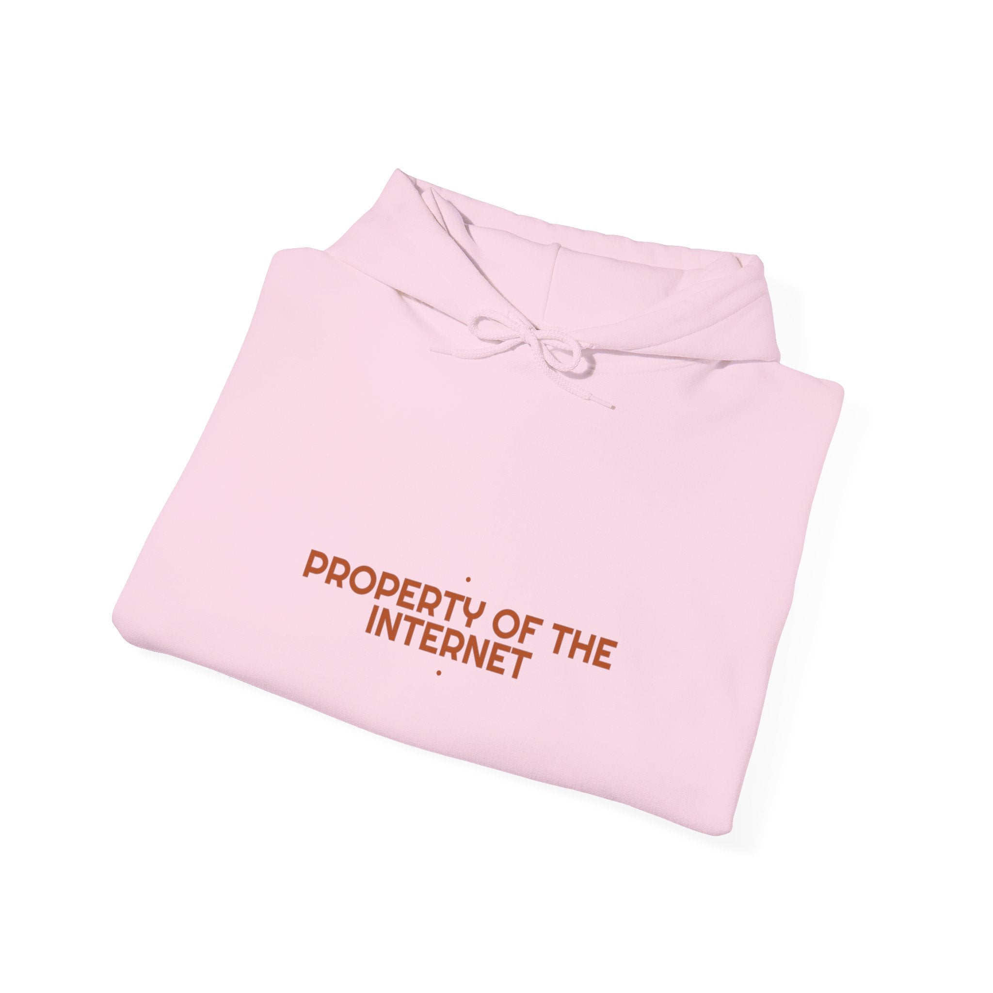 Property Of The Internet - Trendy Teez Funny Hoodie mockup