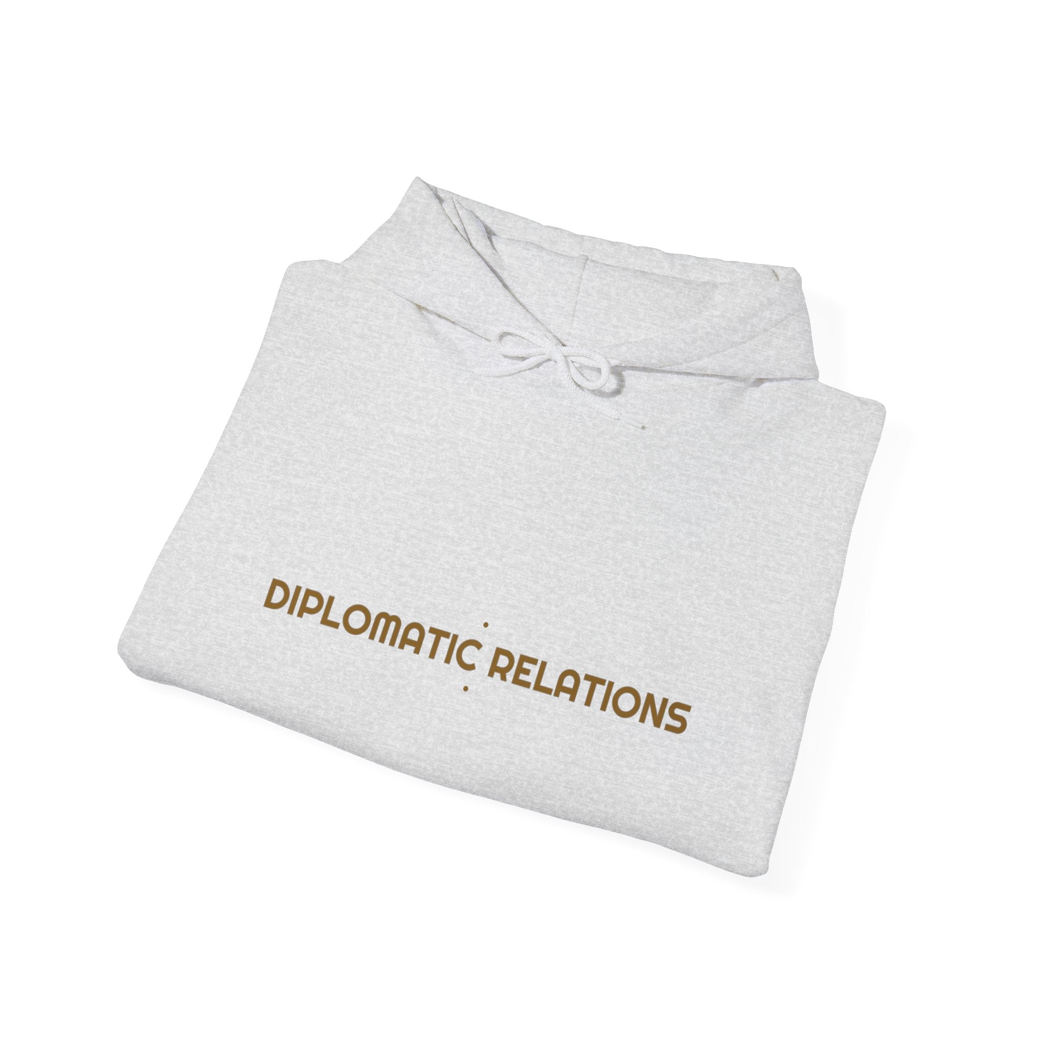 Diplomatic Relations - Trendy Teez Funny Hoodie mockup