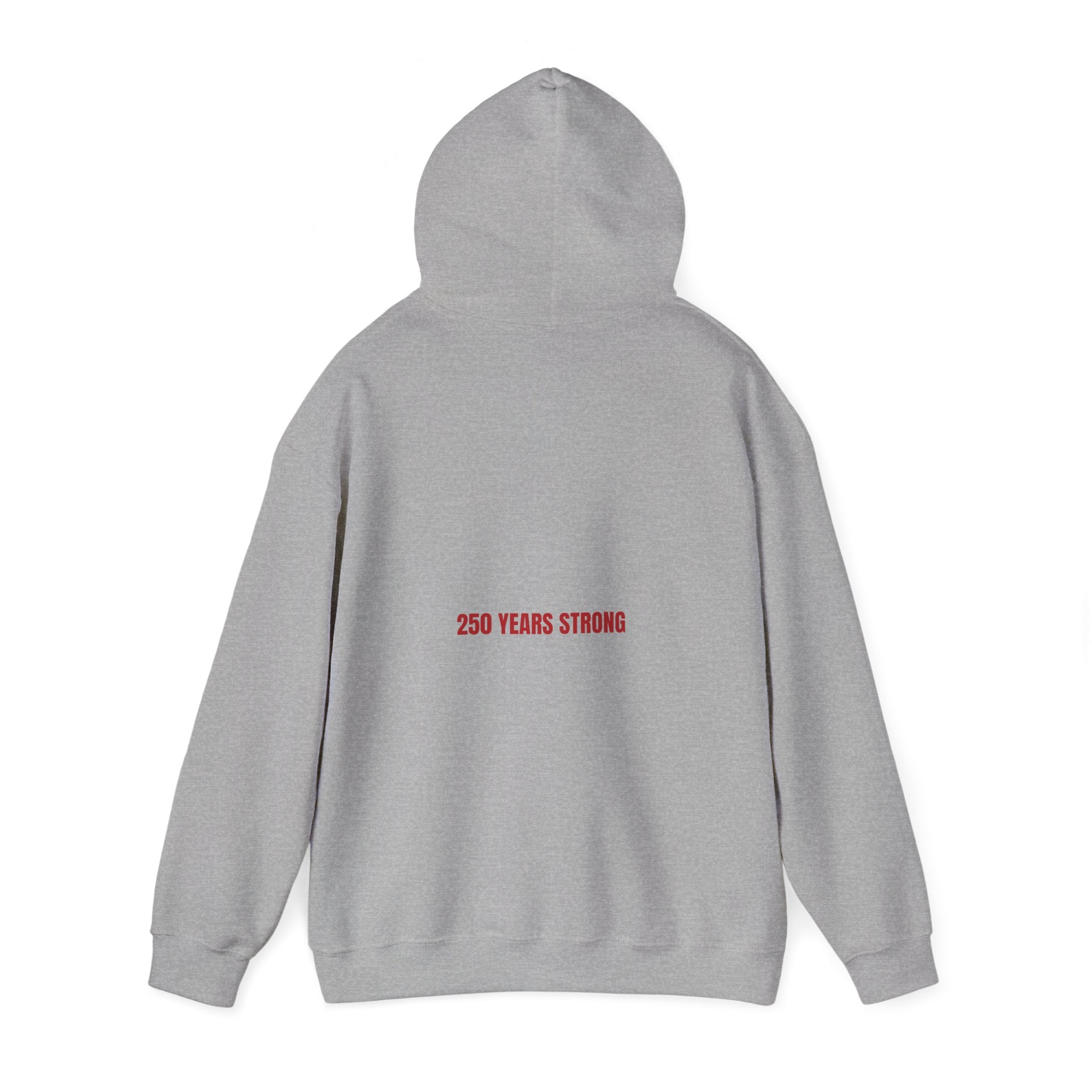 250 Years Strong — Funny Hoodie (Back Print)