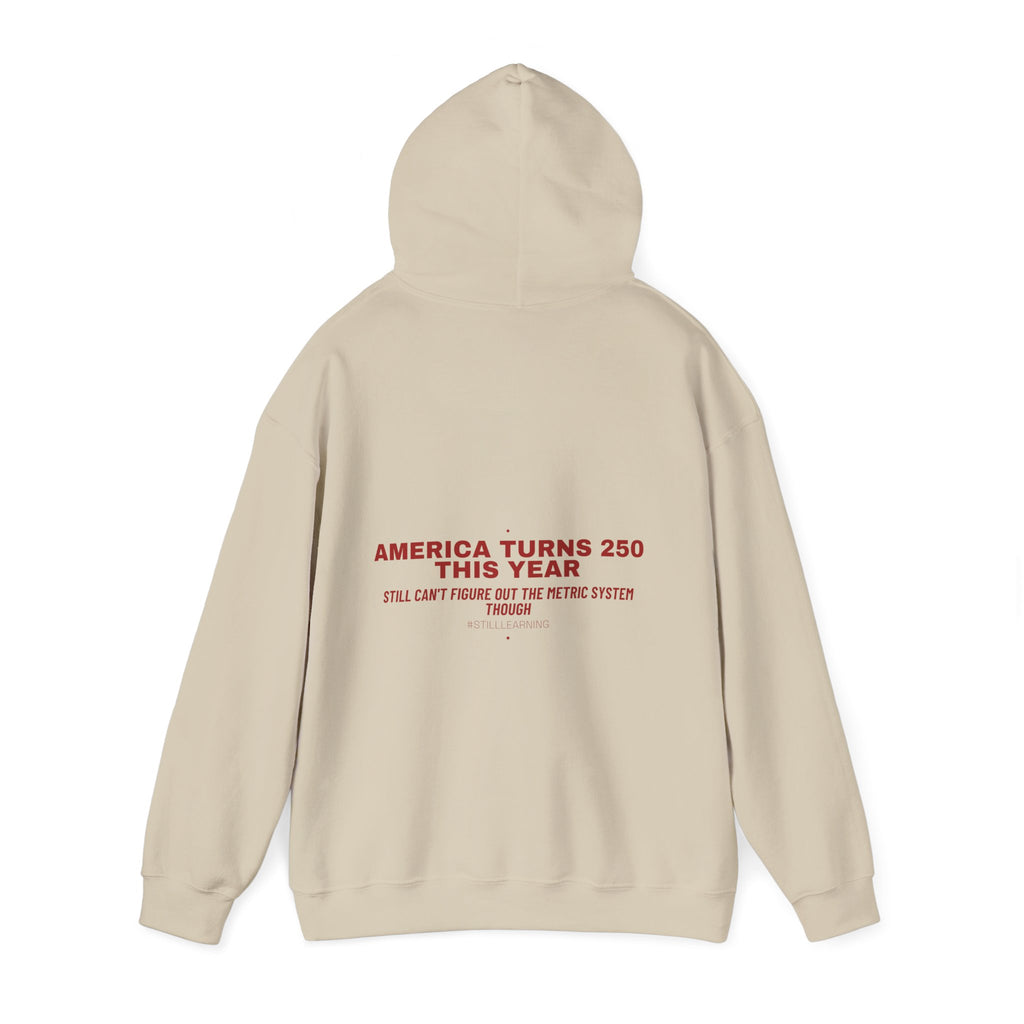 America Turns 250 This Year — Funny Hoodie (Back Print)