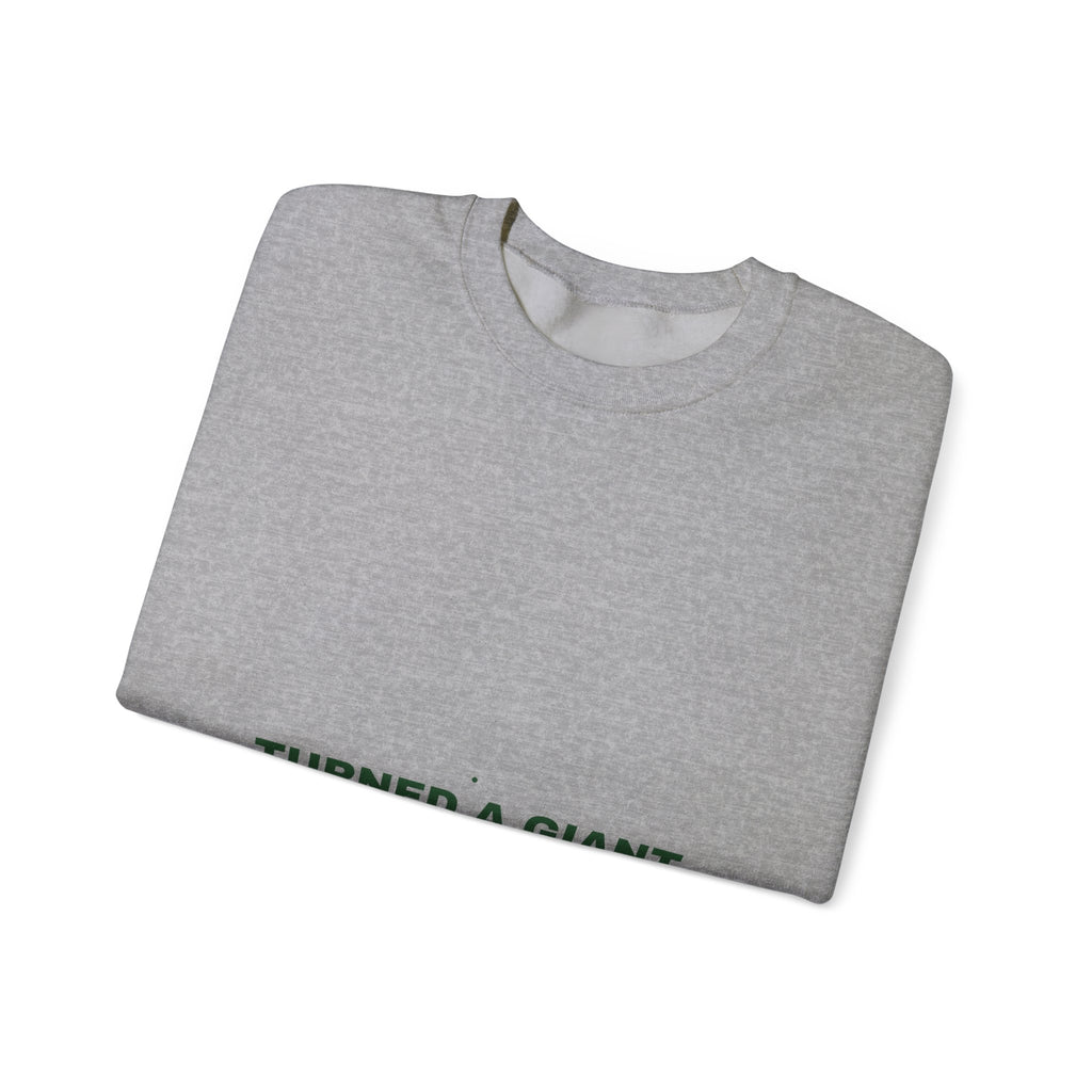 Turned A Giant Hole Into A Park — Funny Crewneck